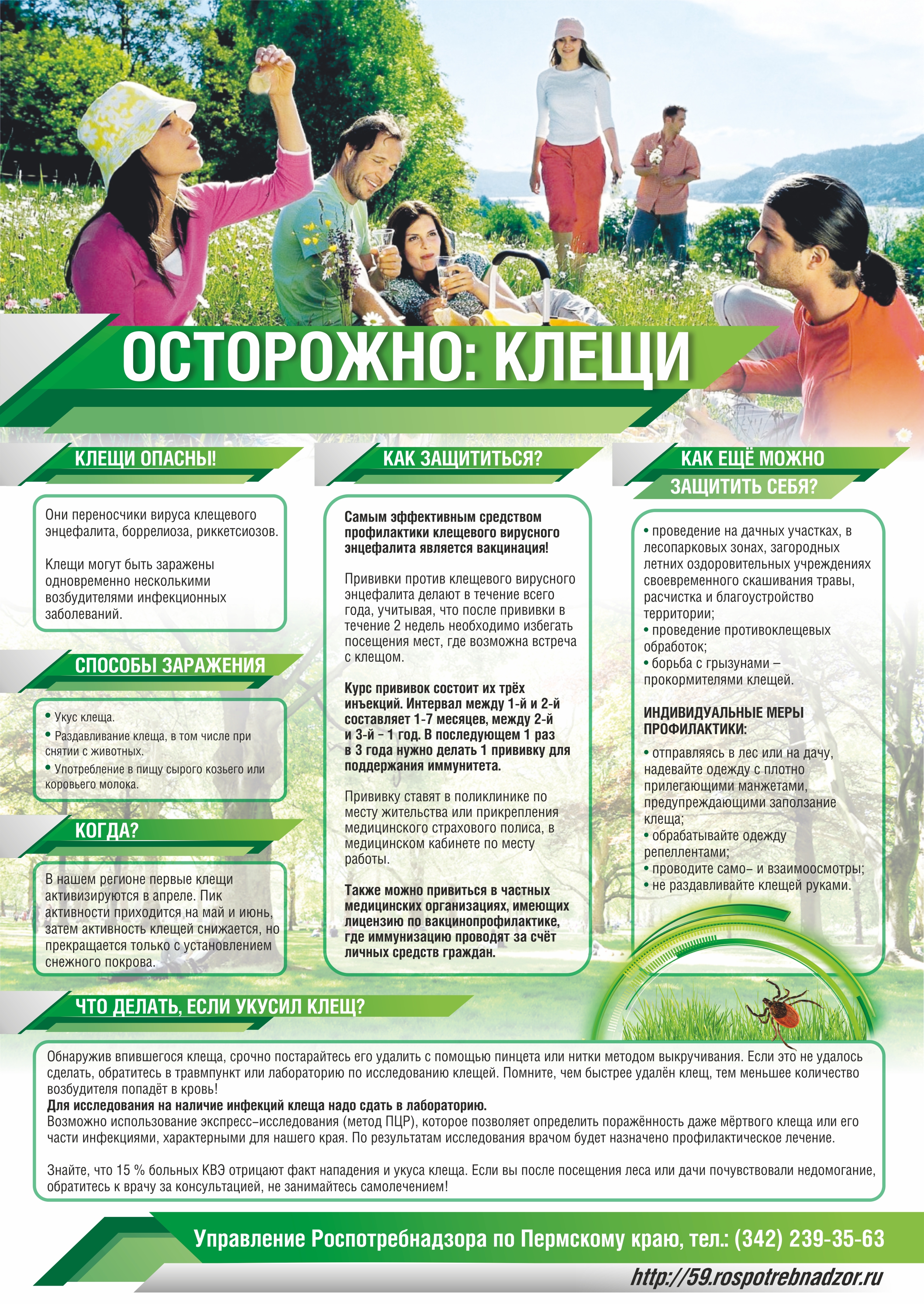 ОСТОРОЖНО клещи
