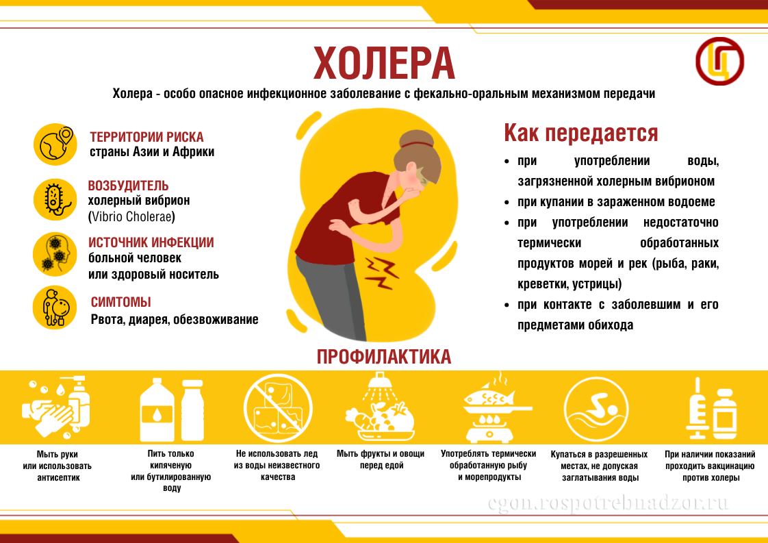 Холера.png